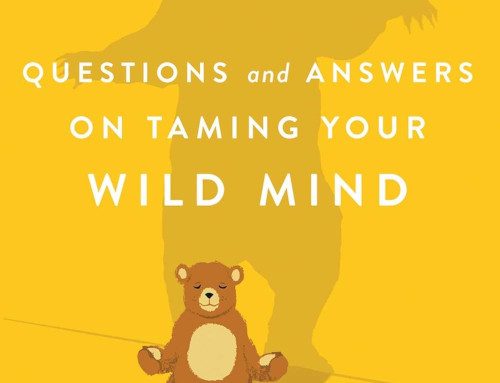 Bear Awareness: Questions and Answers on Taming Your Wild Mind
