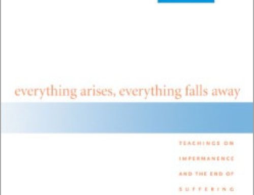 Everything Arises, Everything Falls Away