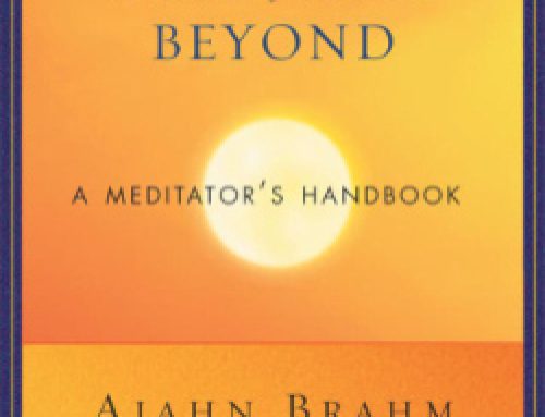 Mindfulness, Bliss, and Beyond: A Meditator’s Handbook