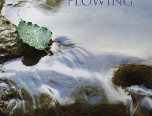 Stillness Flowing