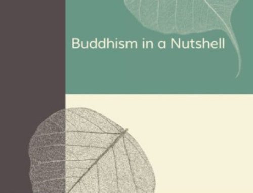 Buddhism in a Nutshell
