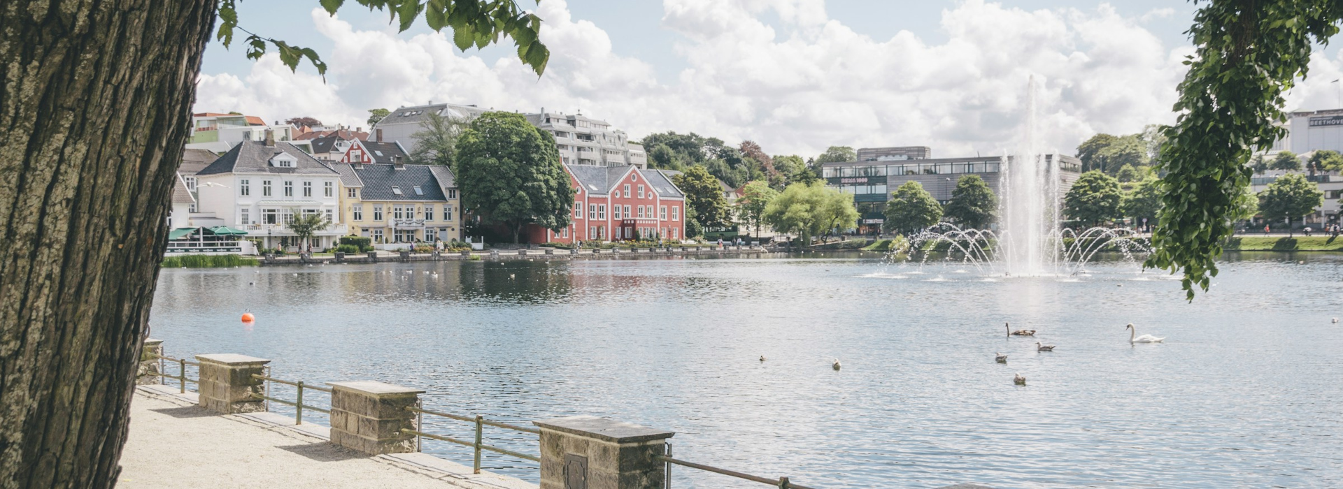 thanks-stavanger