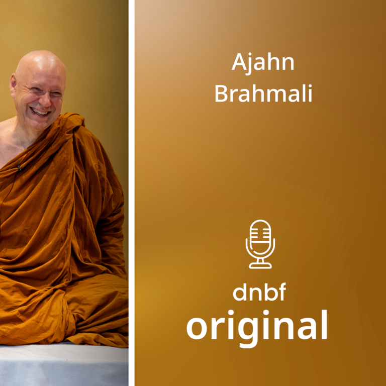 Anapanasati Del 3 av 4 | NO | Ajahn Brahmali | Oslo 2026
